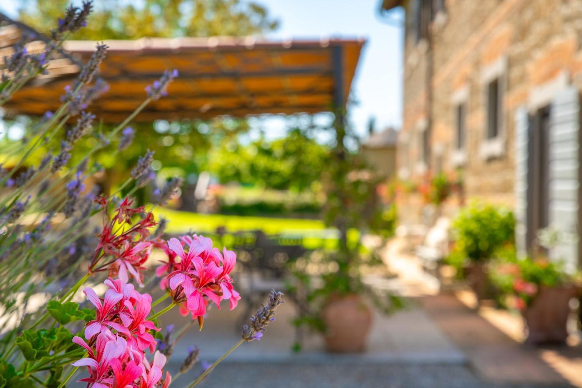 Palazzi Del Papa Vakantieboerderij Pienza